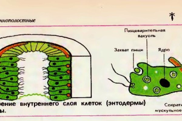 Как зарегистрироваться на кракене из россии