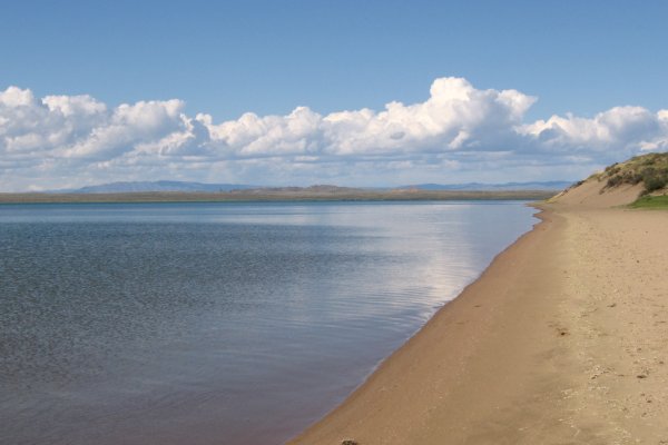 Кракен ссылка тупа германия