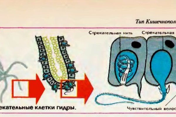 Кракен даркнет стор