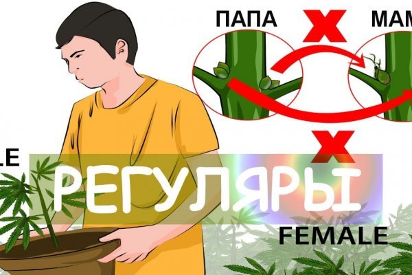 Как восстановить аккаунт на кракене даркнет