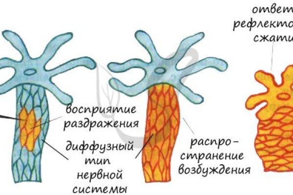 Kra28.at